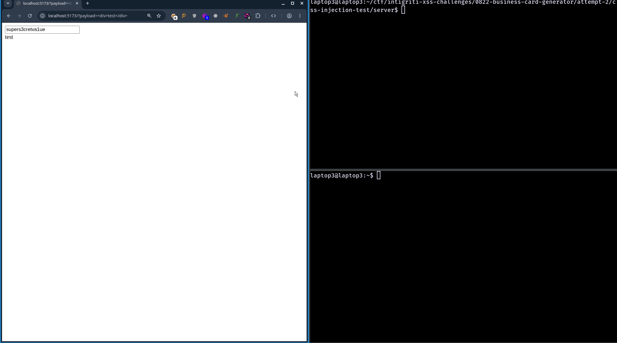 CSS injection demo